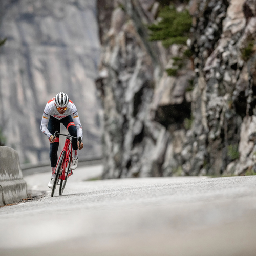 Road Bikes