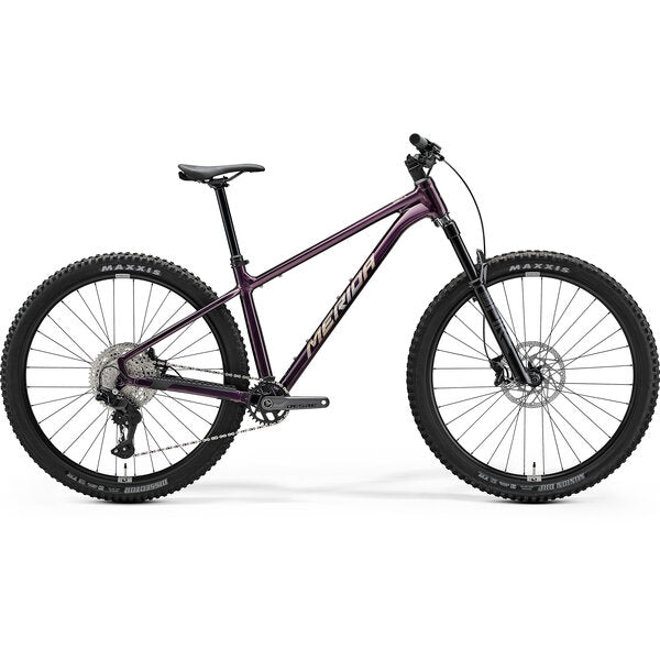 Merida Big Trail 600